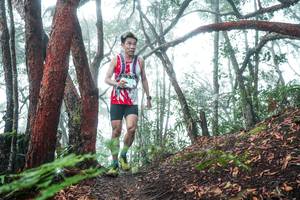 BIB: 
                            <button type="button" onclick="openModal(26343773)" class="btn btn-primary btn-sm float-right btn-popup" data-toggle="modal" data-target=".modal-high-quality">
                        <i class="fas fa-shopping-cart"></i> Add to Cart
                    </button>
                                            <button type="button" onclick="isThisMe(26343773, true)" class="btn btn-success btn-sm float-right btn-popup btn-isme hidden" data-toggle="tooltip" data-placement="bottom" title="นี่คือรูปของคุณใช่ไหม คลิกที่นี่เพื่อเอาเข้าอัลบั้ม">
                        <i class="fas fa-plus"></i> Add to album
                    </button>
                    <button type="button" onclick="isThisMe(26343773, false)" class="btn btn-warning btn-sm float-right btn-popup btn-isnotme hidden">
                        <i class="fas fa-ban"></i> Remove from album
                    </button>